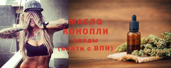 spice Богородск