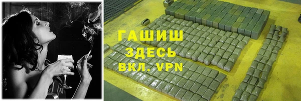 spice Богородск