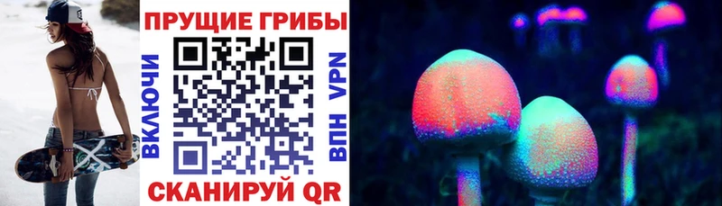 Псилоцибиновые грибы Psilocybe Бологое